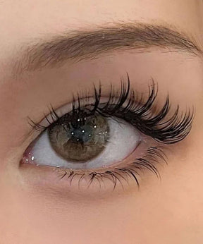 Magnetic Lashes + FREE Applicator